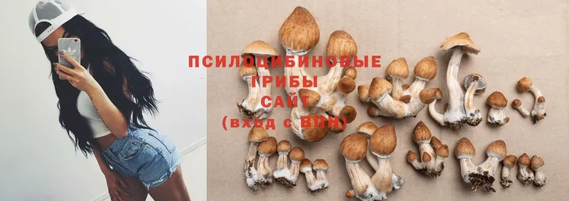 Псилоцибиновые грибы MAGIC MUSHROOMS  МЕГА вход  Лабытнанги 